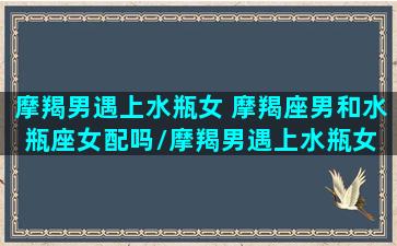 摩羯男遇上水瓶女 摩羯座男和水瓶座女配吗/摩羯男遇上水瓶女 摩羯座男和水瓶座女配吗-我的网站